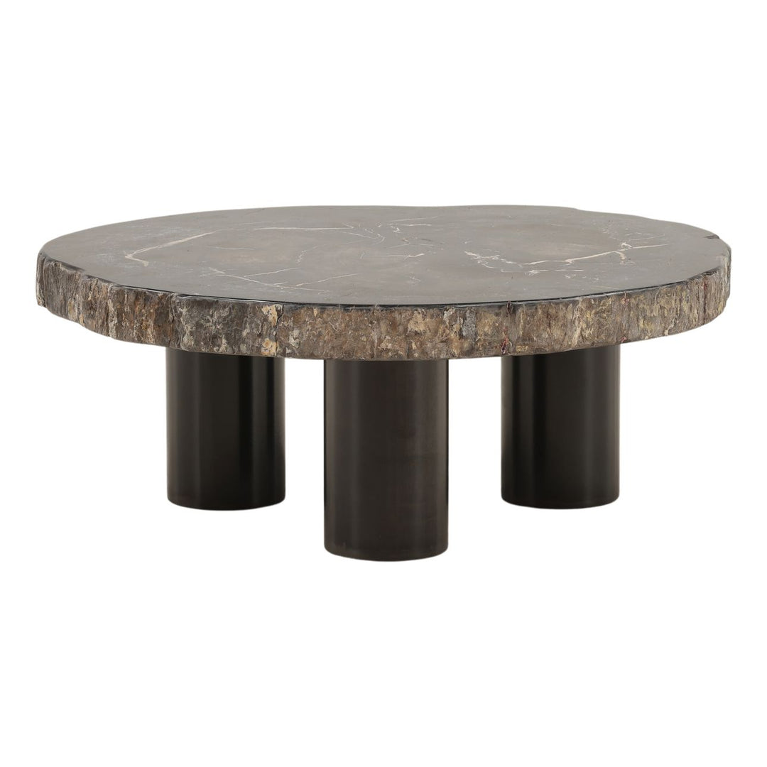 Darien Petrified Wood Coffee Table, Small, three-quarter studio view