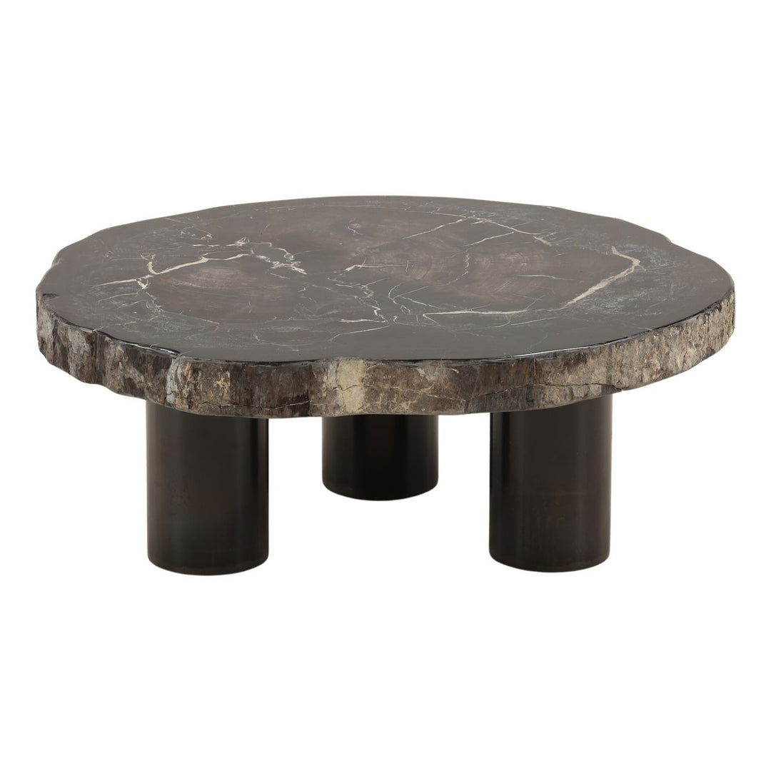 Darien Petrified Wood Coffee Table, Small, overhead view