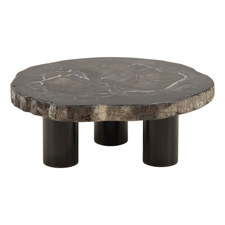 Darien Petrified Wood Coffee Table, Small, overhead view