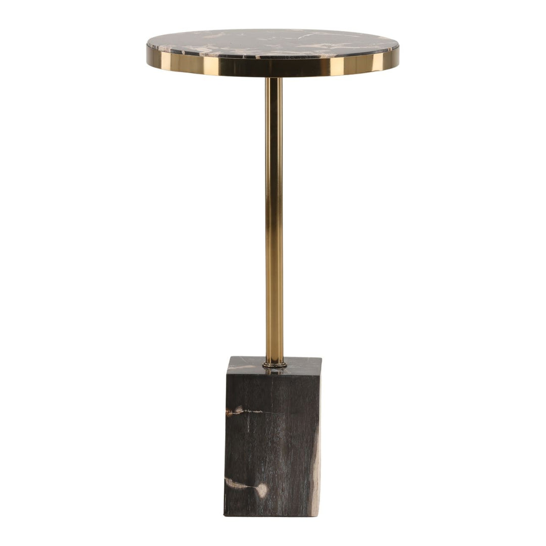Wren Petrified Wood Side Table, front view