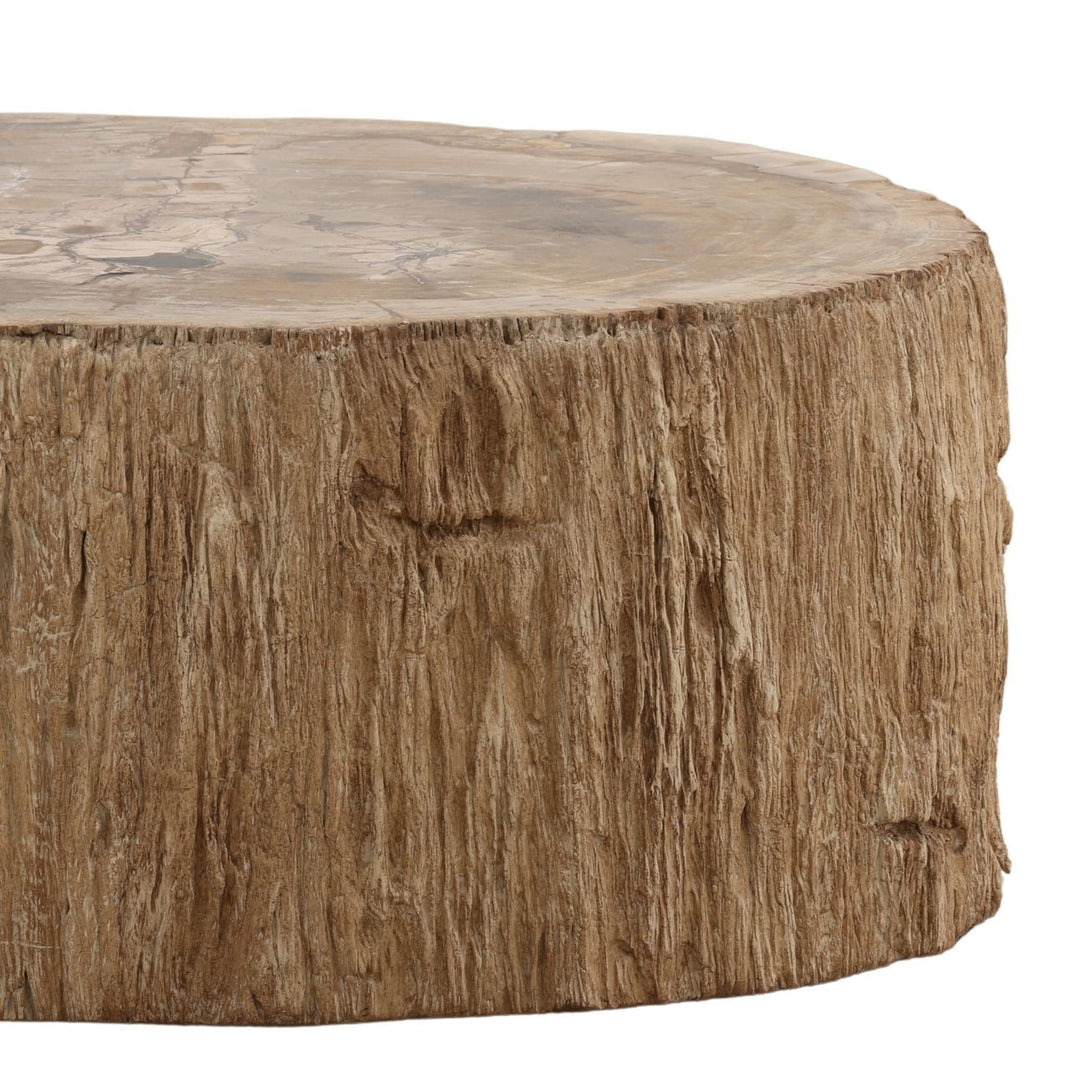 Arlo Petrified Wood Coffee Table, 42-inch size class, detail 2 view