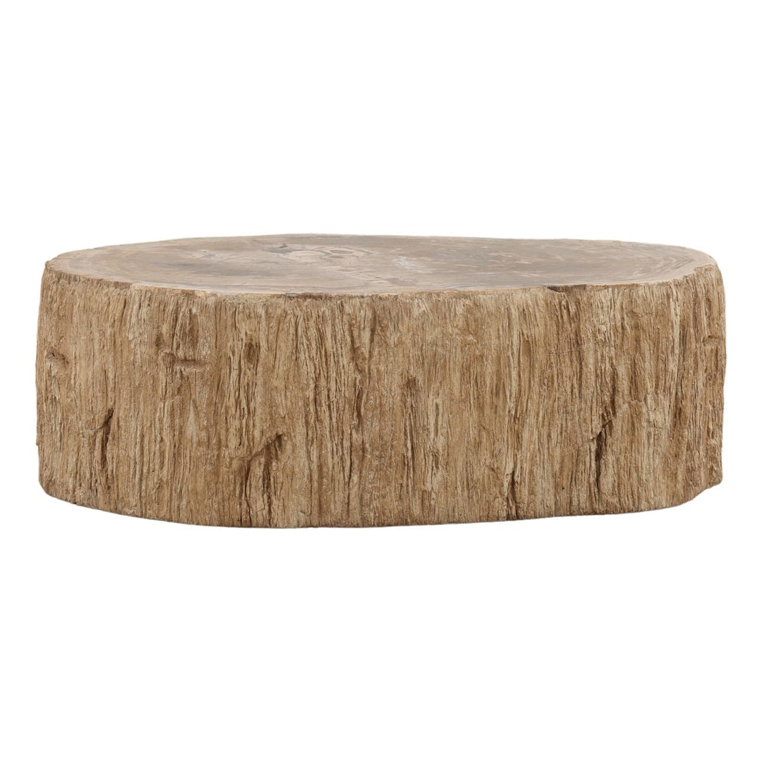Arlo Petrified Wood Coffee Table, 42-inch size class, three-quarter studio view