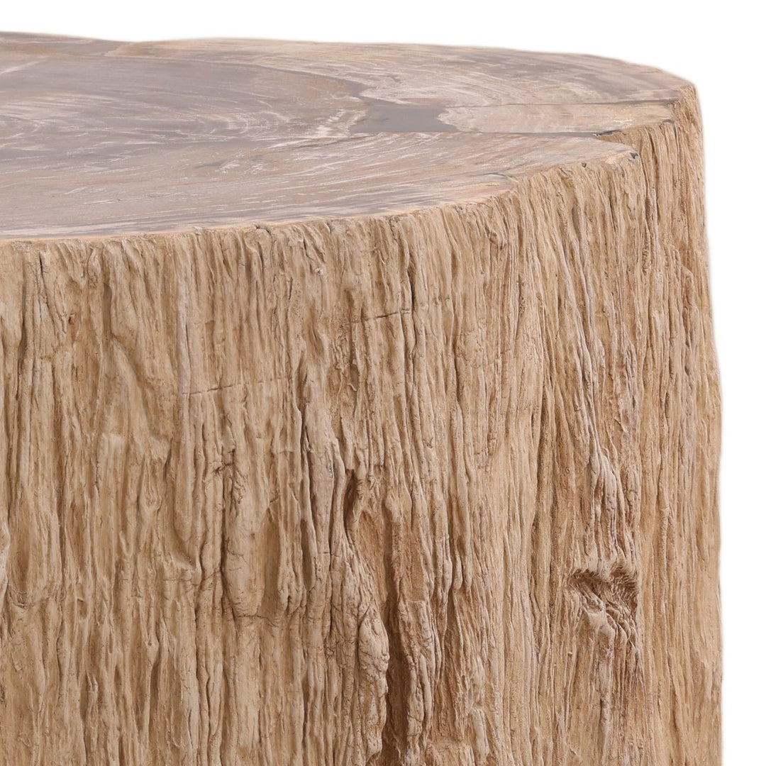 Arlo Petrified Wood Coffee Table, 48-inch size class, detail 2 view