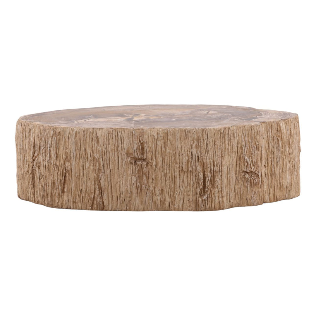 Arlo Petrified Wood Coffee Table, 48-inch size class, front view