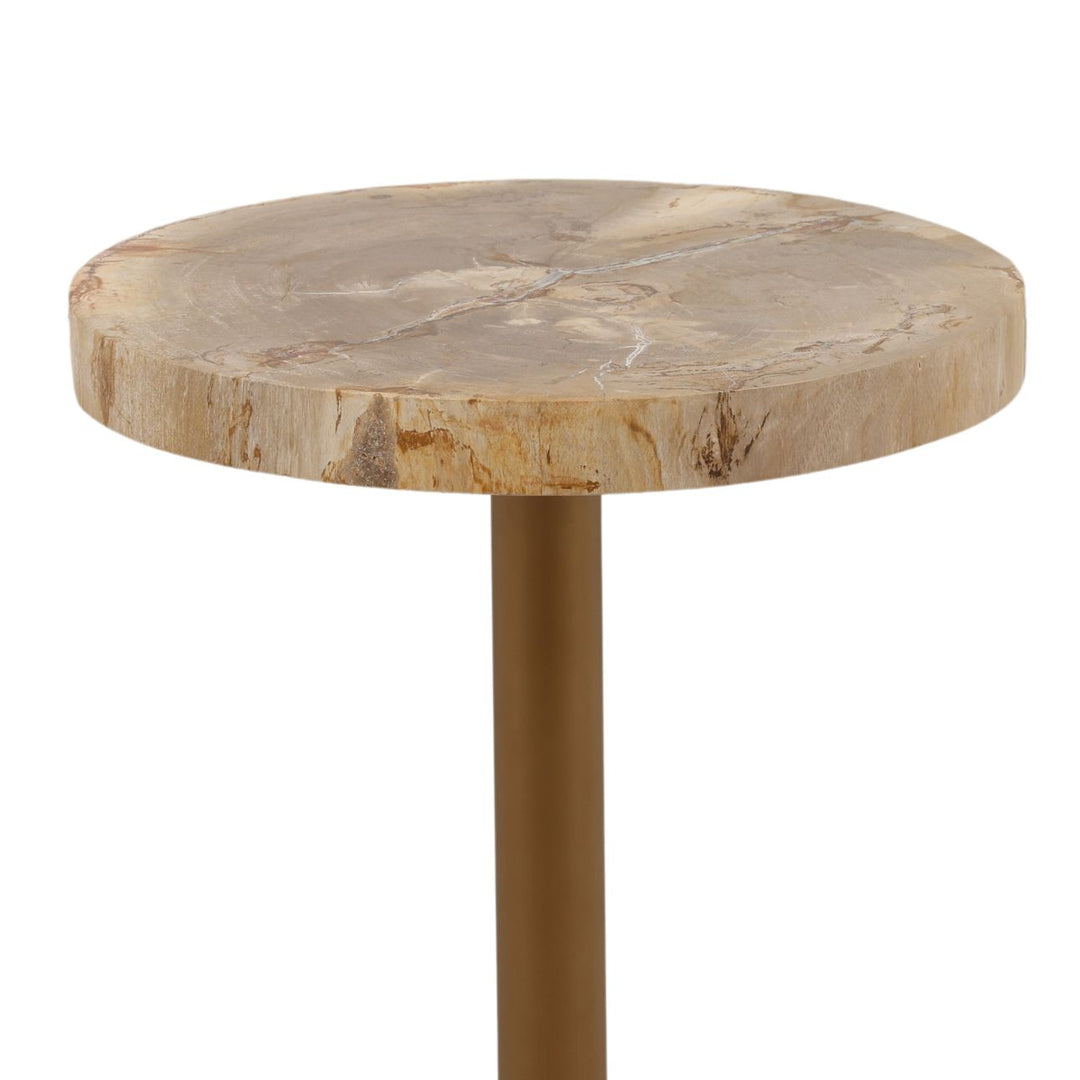 Cael Petrified Wood Side Table, detail 1 view