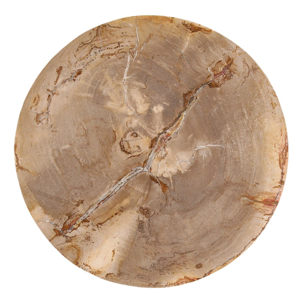 Cael Petrified Wood Side Table, overhead view