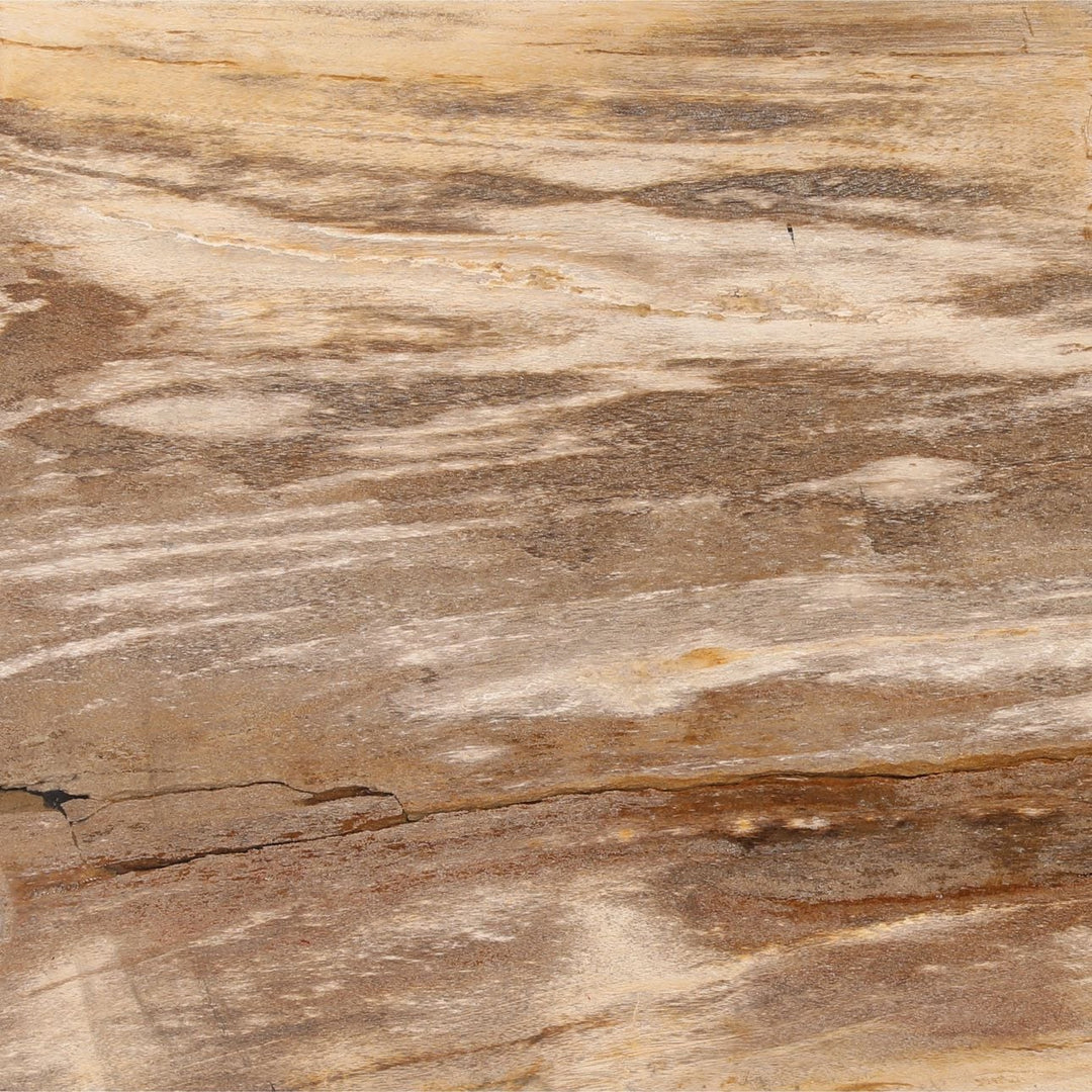 Peri Petrified Wood Console Table, detail 1 view