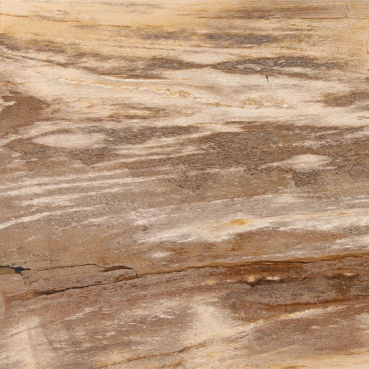 Peri Petrified Wood Console Table, detail 1 view