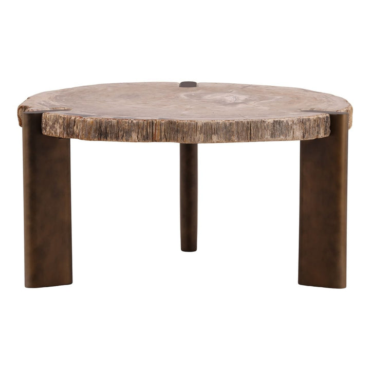 Saxon Petrified Wood Coffee Table, Large, three-quarter studio view