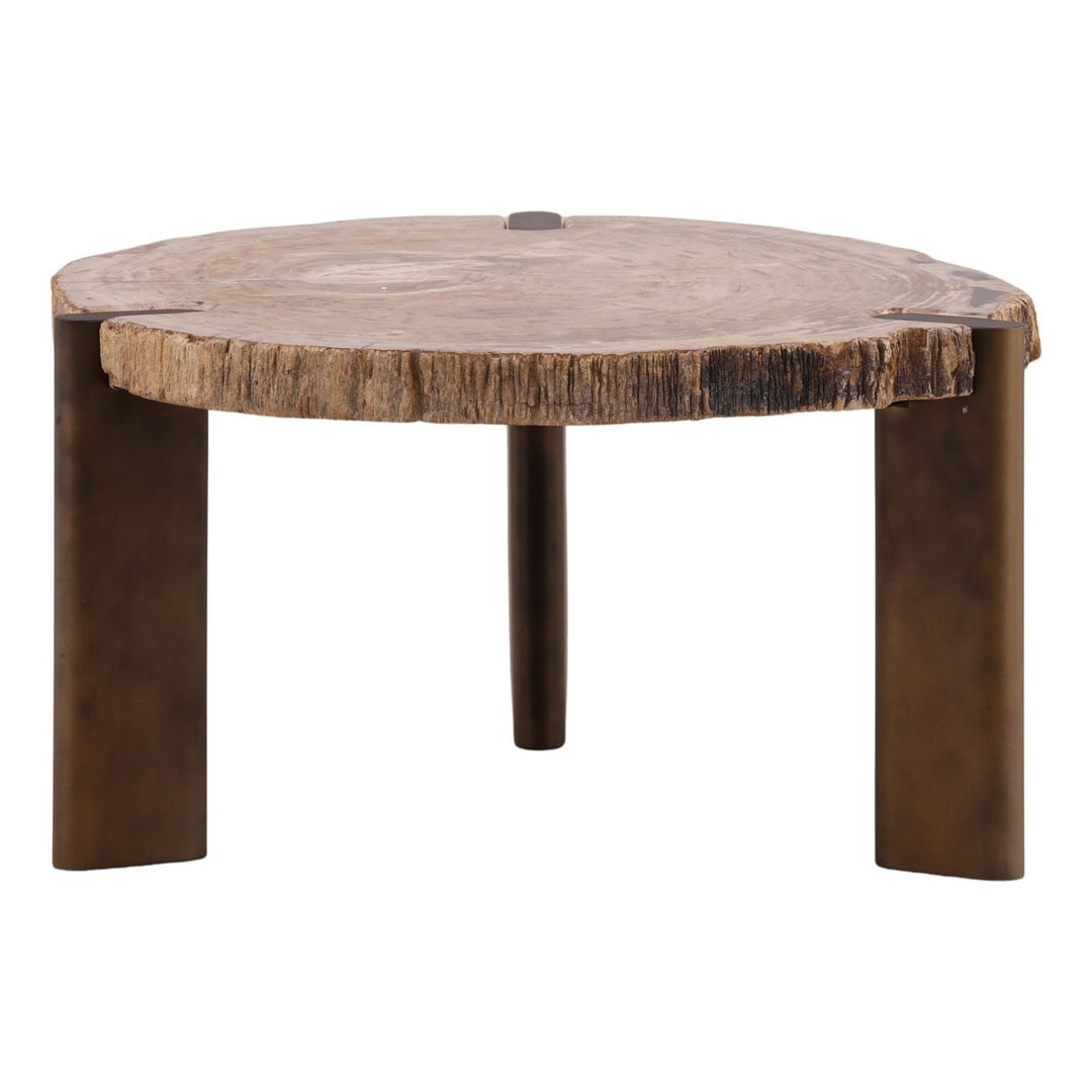 Saxon Petrified Wood Coffee Table, Large, front view