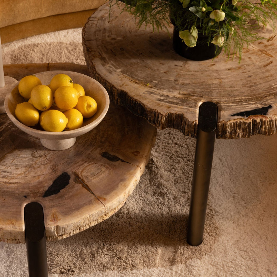 Saxon Petrified Wood Coffee Table, Large, alternate lifestyle view 2