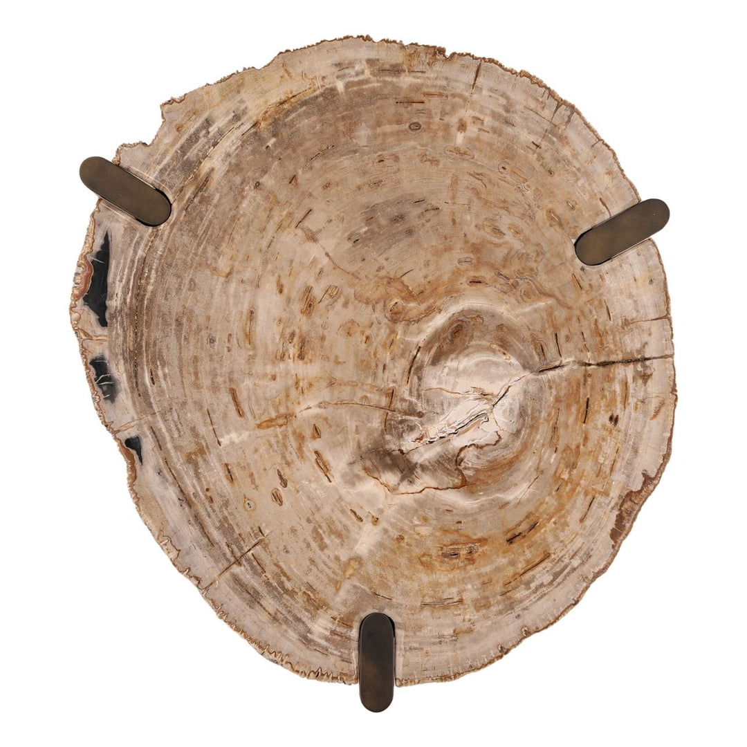 Saxon Petrified Wood Coffee Table, Large, overhead view