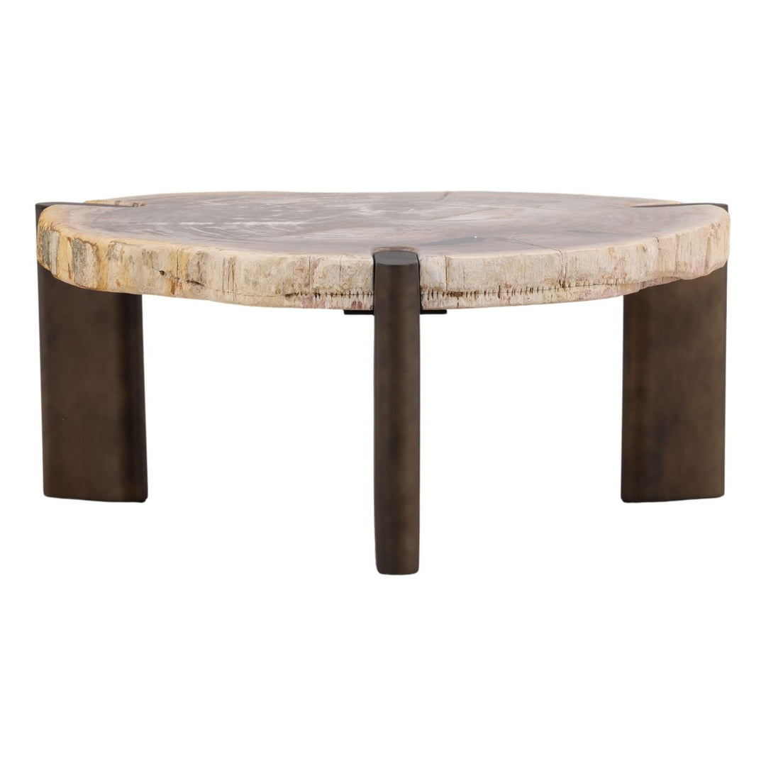 Saxon Petrified Wood Coffee Table, Small, back view