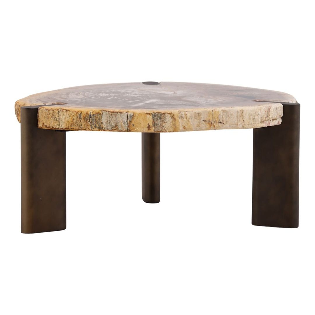 Saxon Petrified Wood Coffee Table, Small, three-quarter studio view
