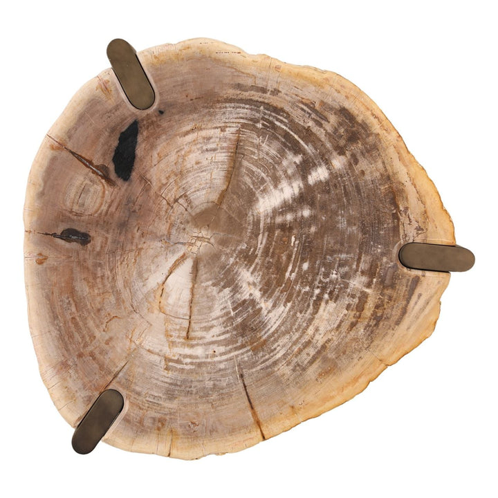 Saxon Petrified Wood Coffee Table, Small, overhead view