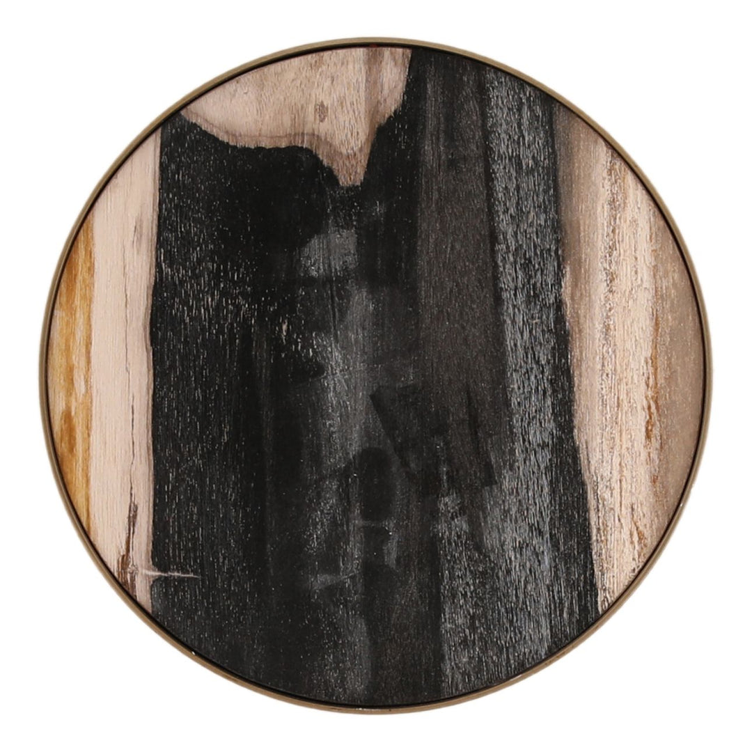 Orin Petrified Wood Side Table, overhead view