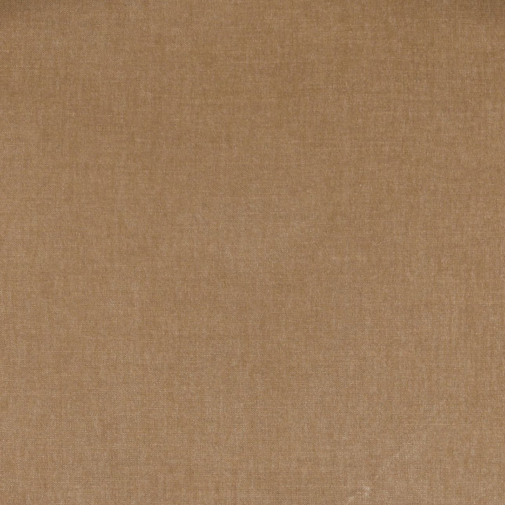 Nella Sand Velvet Dining Chair, detail 1 view