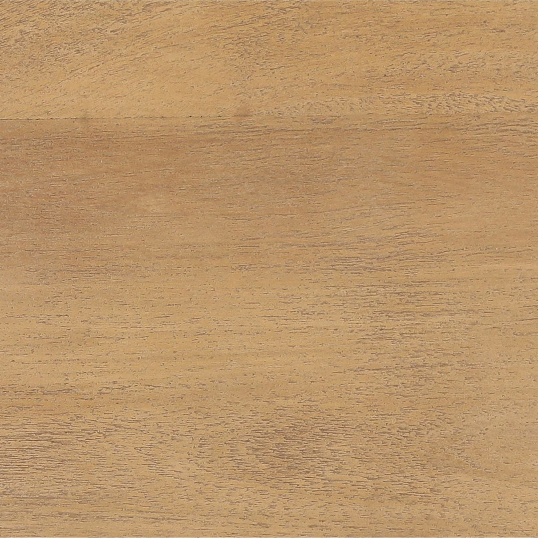 Octave Mango Wood and Leather Sideboard, Two Door · 38 inches wide, detail 1 view