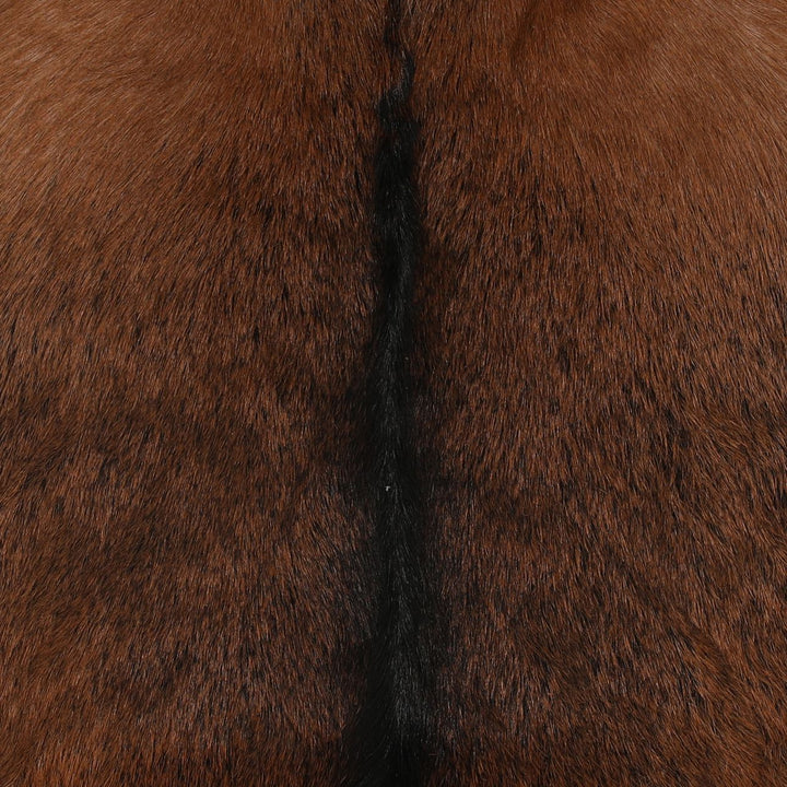 Elenna Hide and Teak Lounge Chair, Brown, detail 1 view
