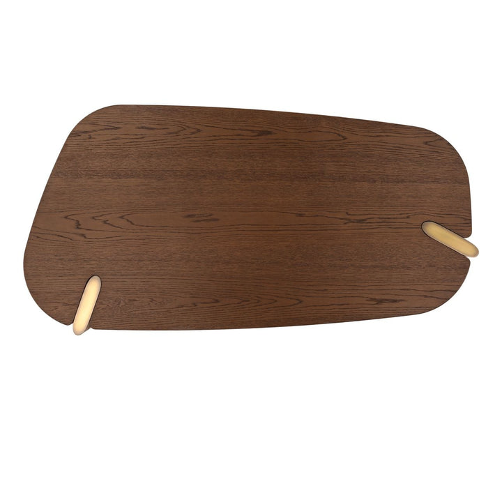 Sula Wood and Brass Coffee Table, overhead view