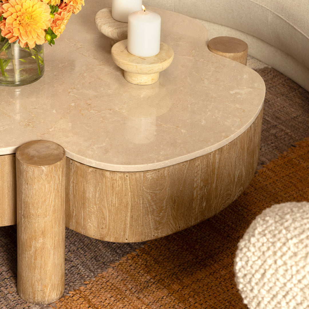 Amaya Stone and Wood Coffee Table, lifestyle view
