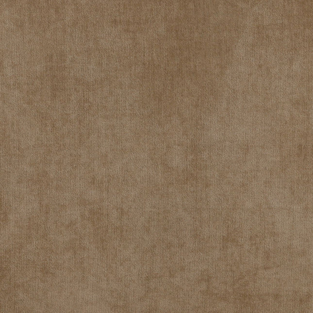 Adelan Velvet and Elm Lounge Chair, Sand, detail 1 view