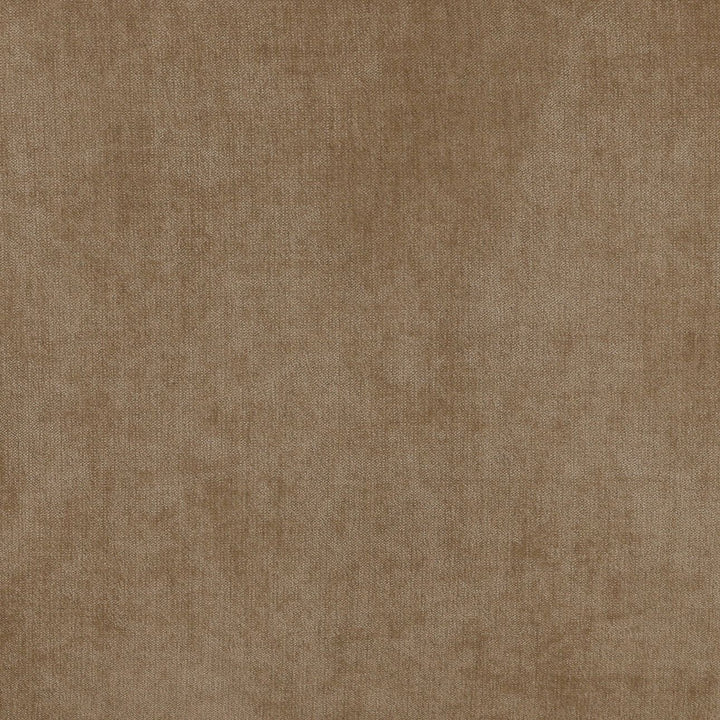 Adelan Velvet and Elm Lounge Chair, Sand, detail 1 view