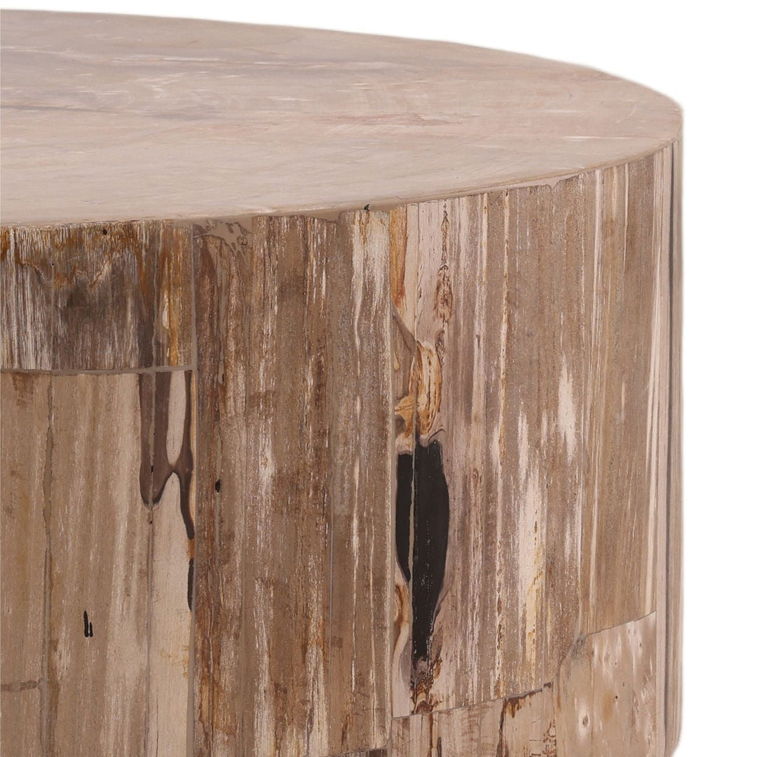 Amara Petrified Wood Coffee Table, detail 2 view