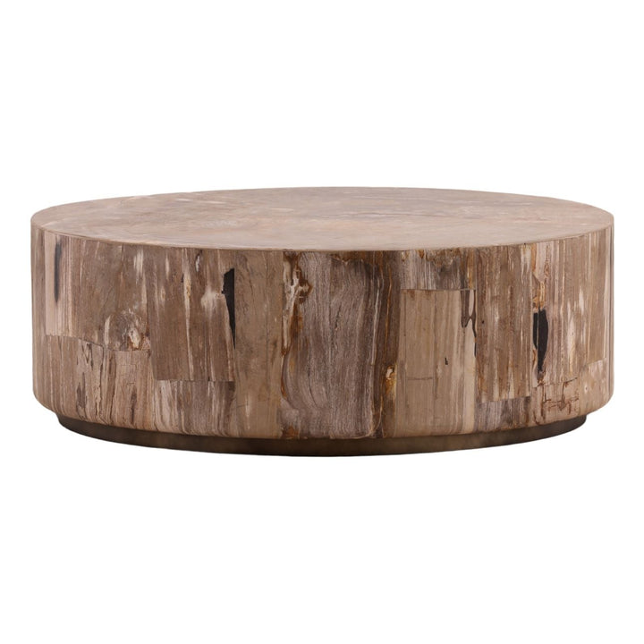 Amara Petrified Wood Coffee Table, three-quarter studio view
