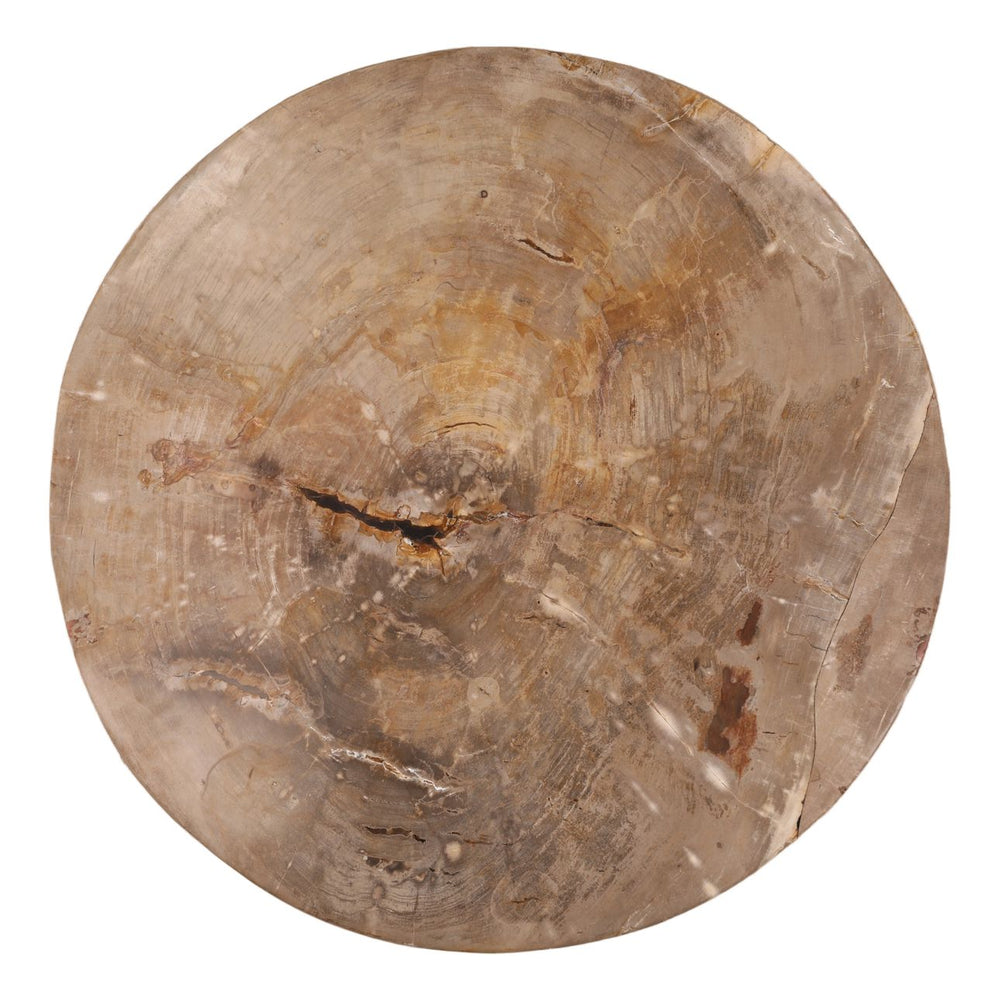 Amara Petrified Wood Coffee Table, overhead view