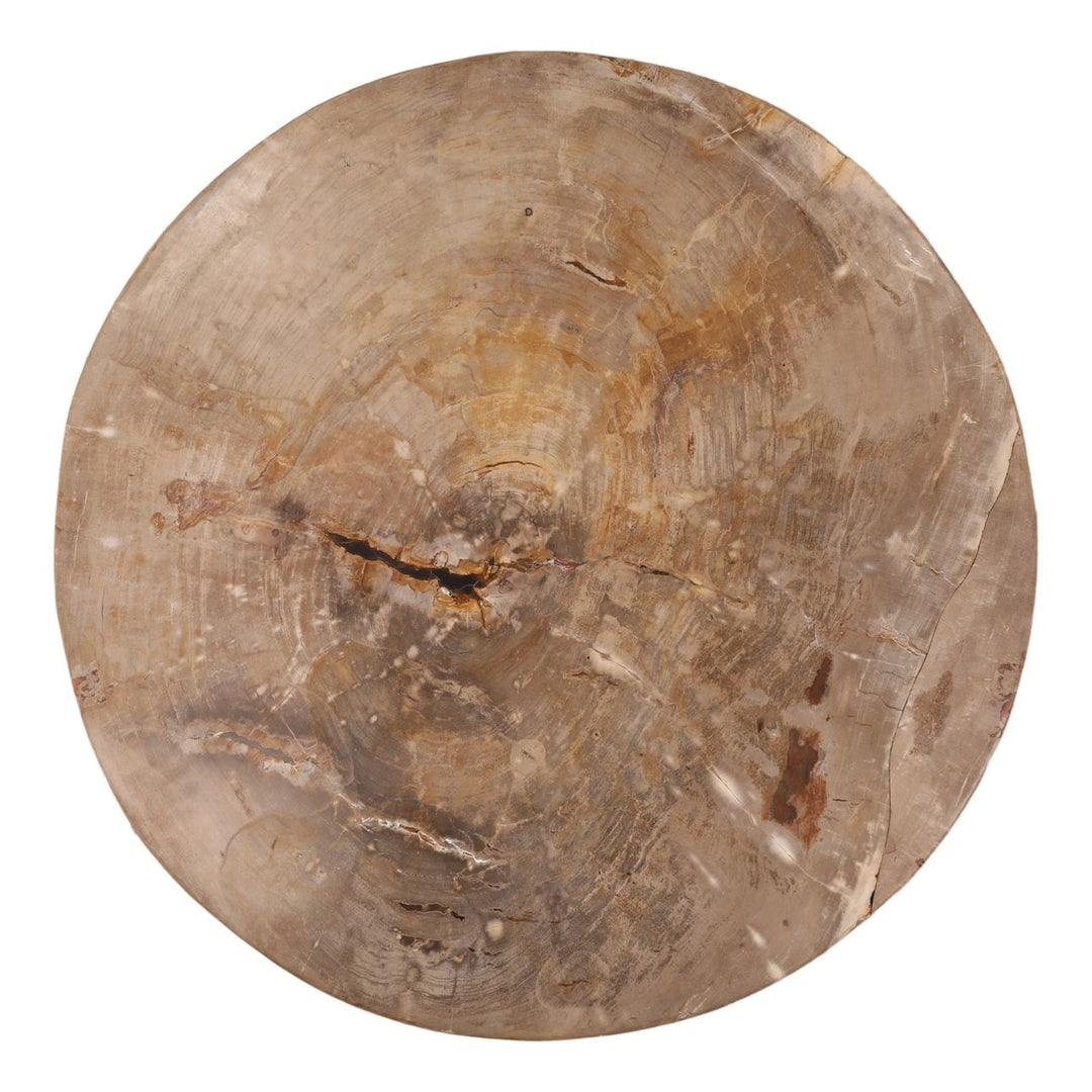 Amara Petrified Wood Coffee Table, overhead view