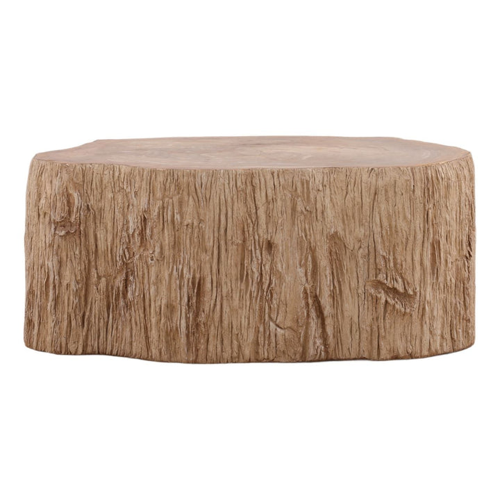 Tana Petrified Wood Coffee Table, Large, back view