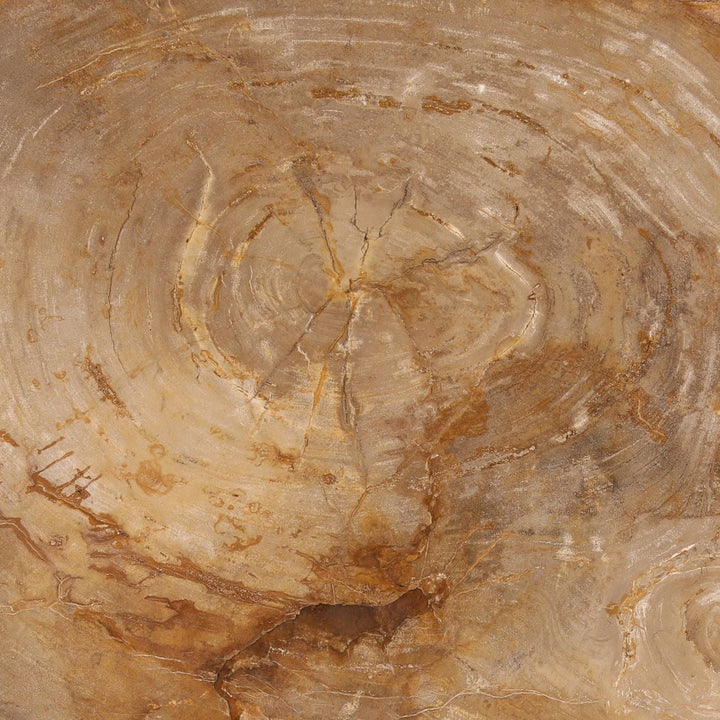 Tana Petrified Wood Coffee Table, Large, detail 1 view