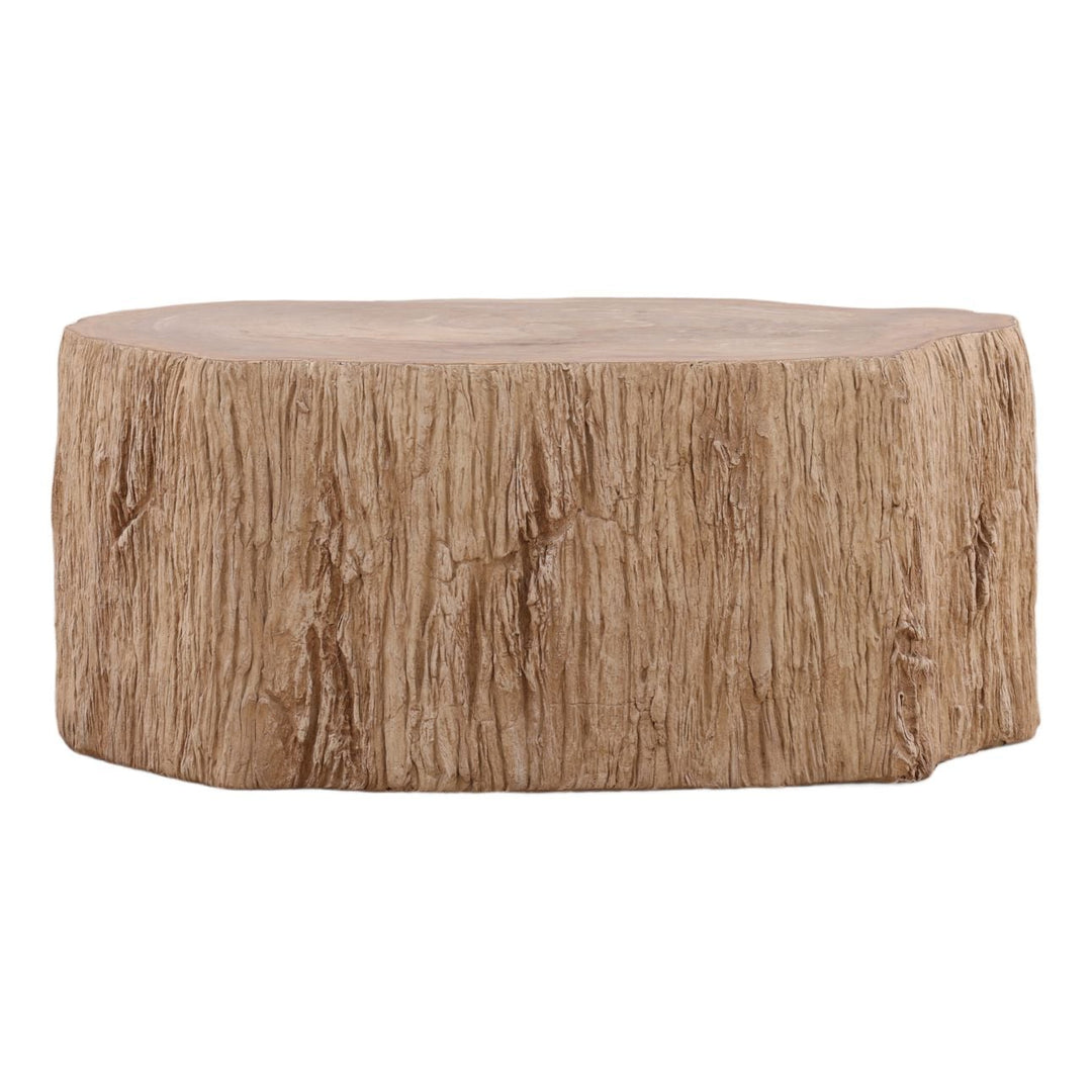 Tana Petrified Wood Coffee Table, Large, front view