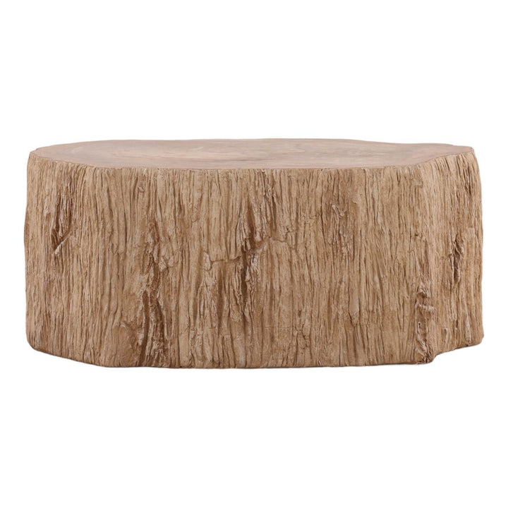 Tana Petrified Wood Coffee Table, Large, front view