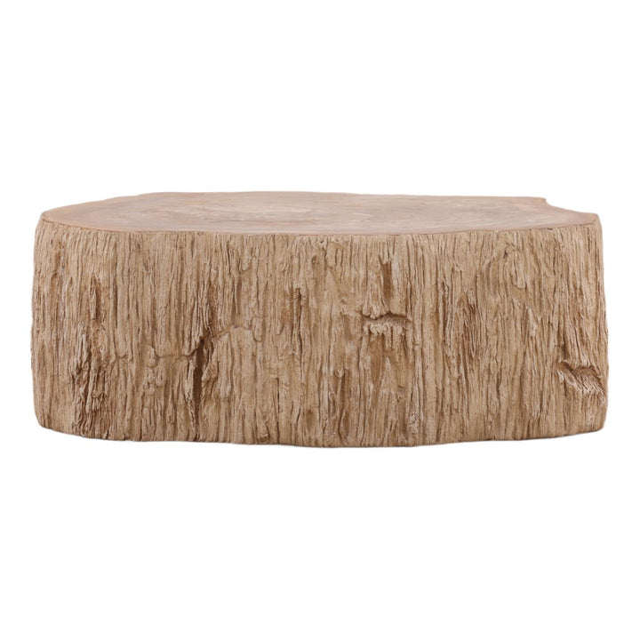 Tana Petrified Wood Coffee Table, Small, back view