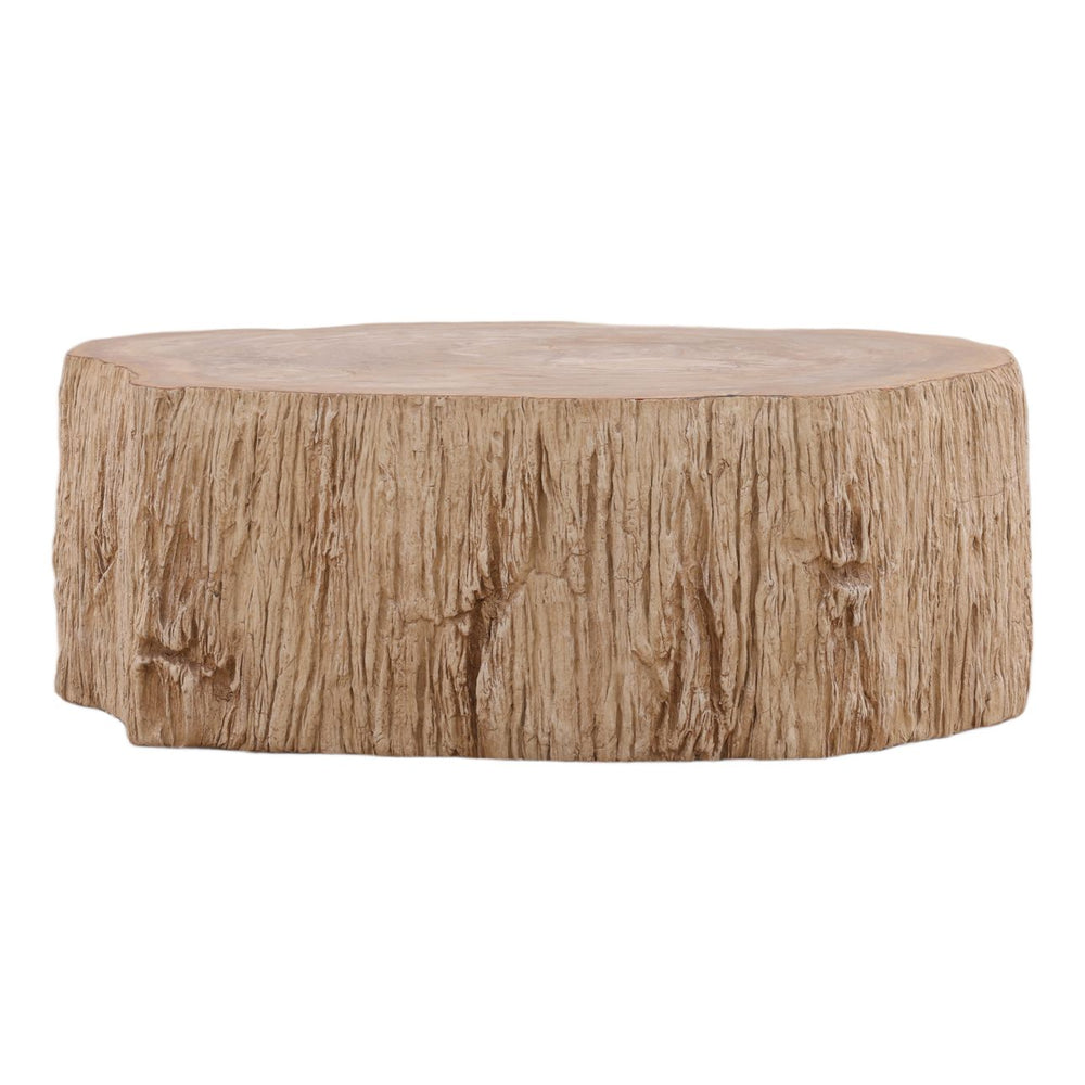 Tana Petrified Wood Coffee Table, Small, front view