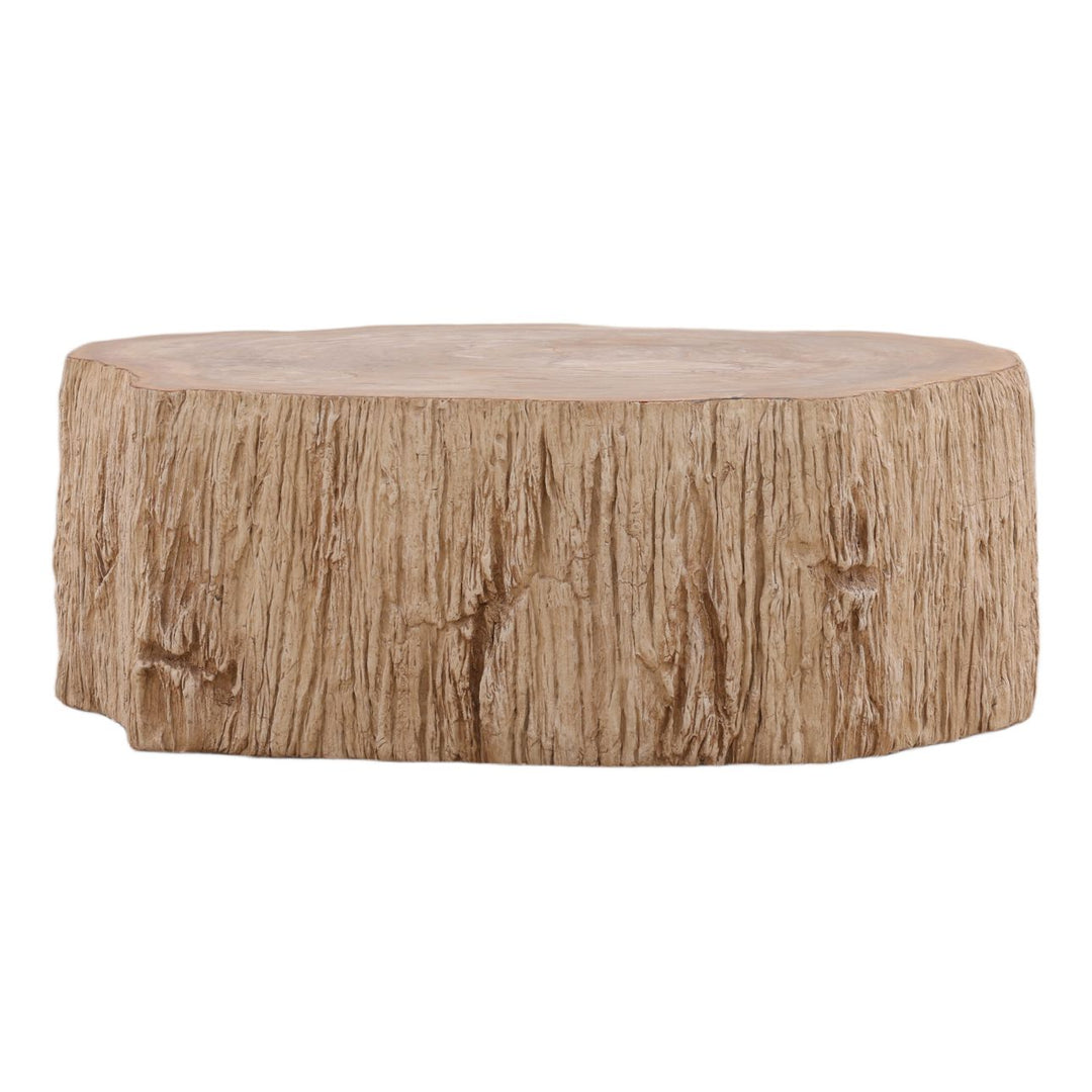 Tana Petrified Wood Coffee Table, Small, front view