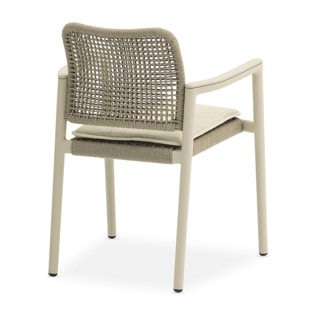 Tolo Dining Armchair - Mocha by Whiteline Modern Living
