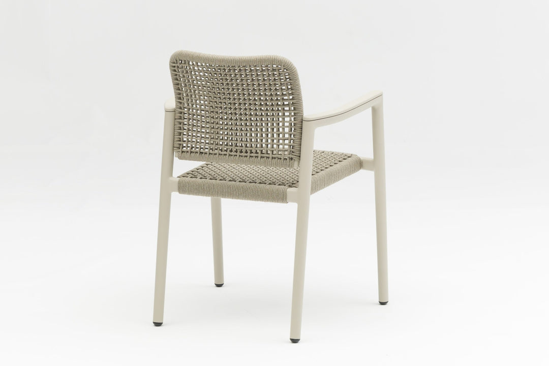 Tolo Dining Armchair - Mocha by Whiteline Modern Living – lifestyle