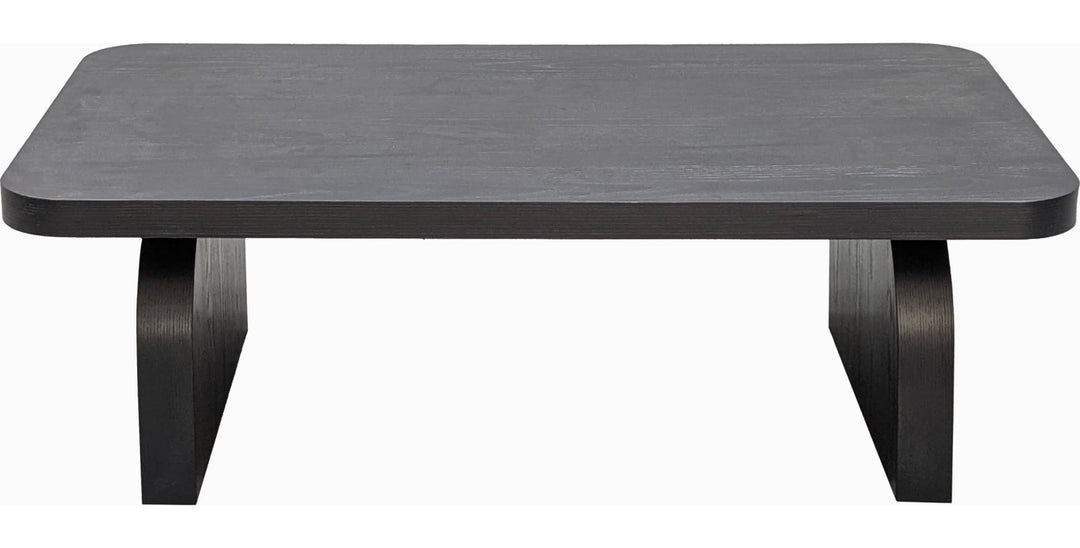 Elora Rectangular Coffee Table in Jet — product view on a white background