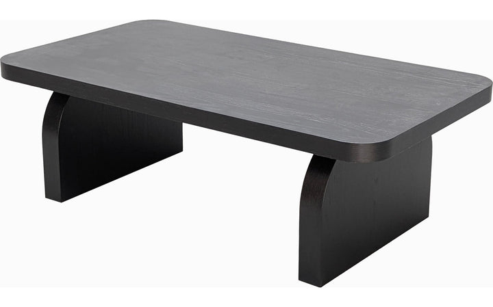 Elora Rectangular Coffee Table in Jet — product view on a white background