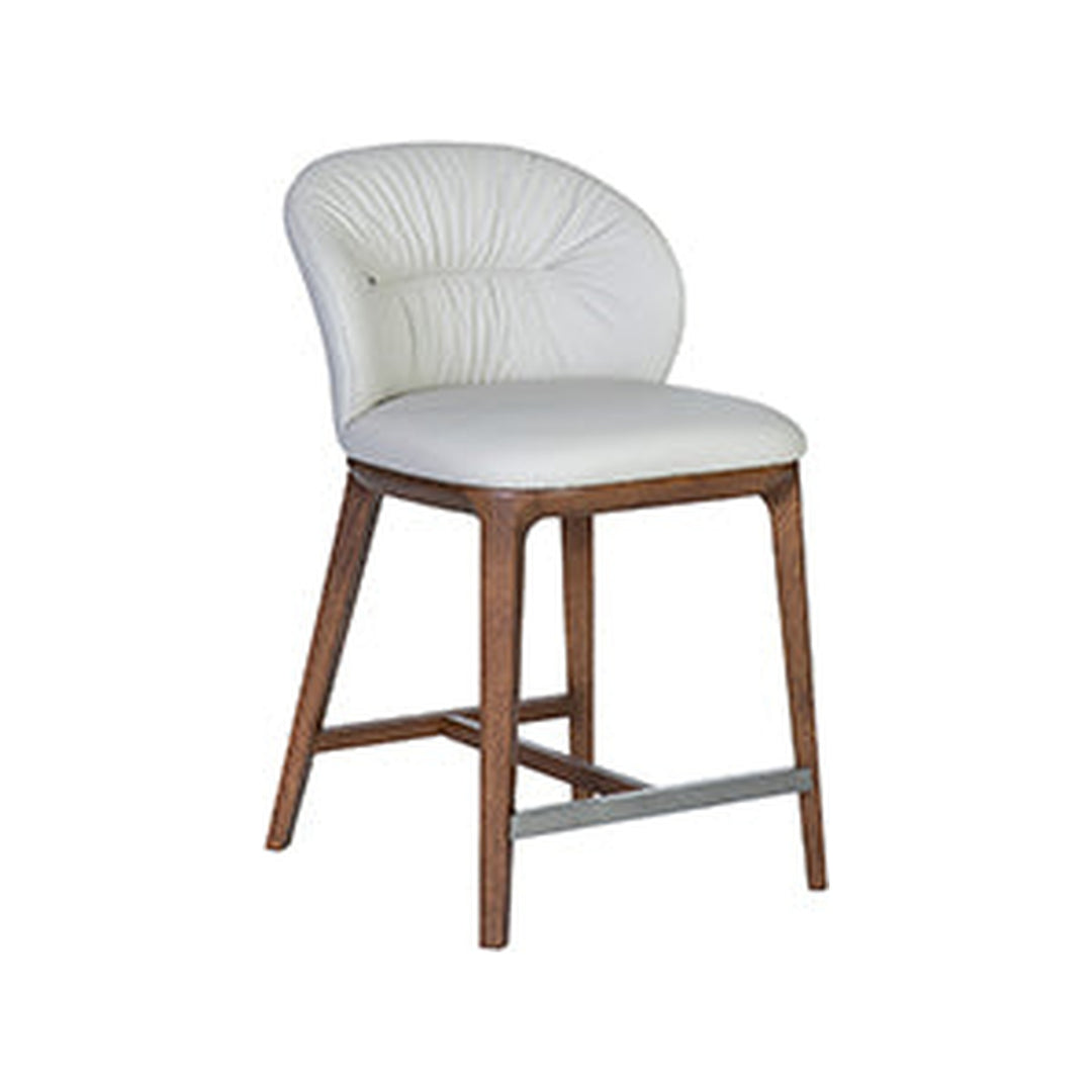 Erika Counter Stool — product (Taji-scaled)