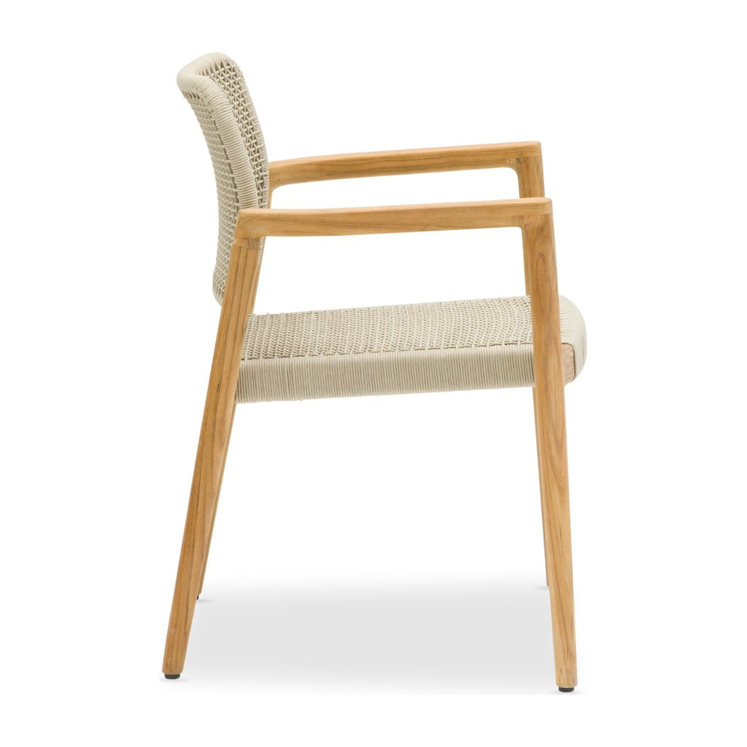 Tolo Dining Armchair by Whiteline Modern Living