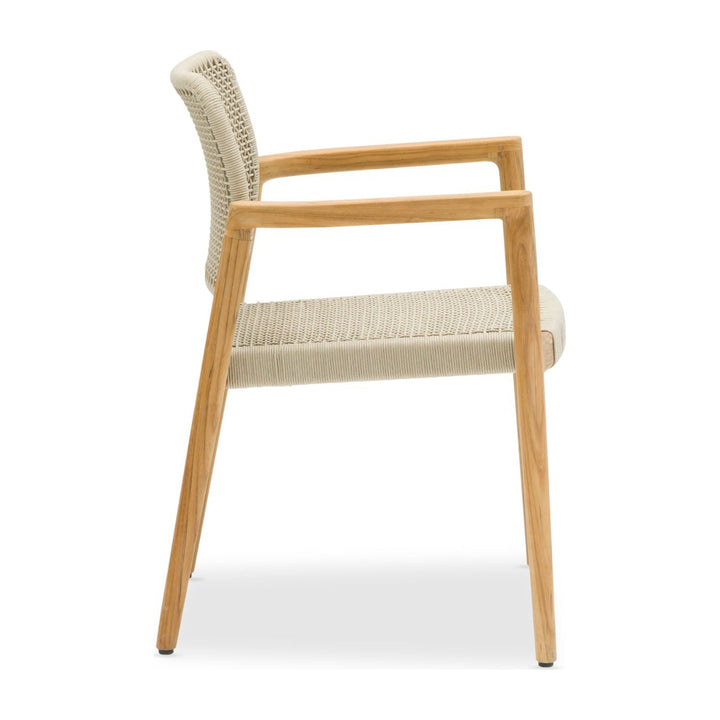 Tolo Dining Armchair by Whiteline Modern Living