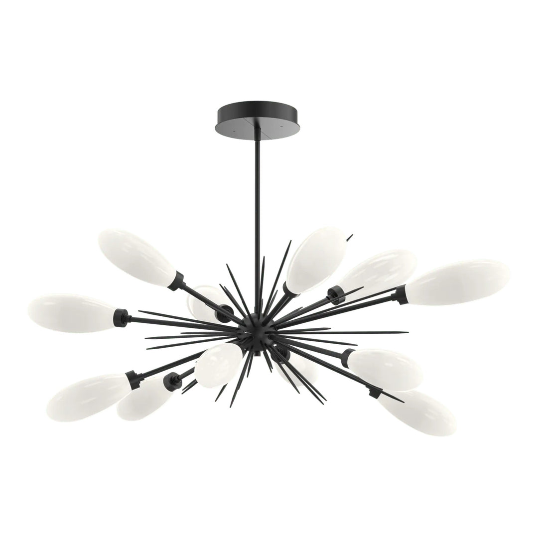 Fiori Oval Starburst Chandelier by Hammerton Studio in Matte Black with White glass