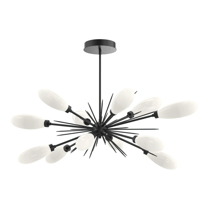 Fiori Oval Starburst Chandelier by Hammerton Studio in Matte Black with White glass