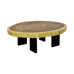 Floating Coffee Table With Black Legs, Natural, Size Varies by Phillips Collection — centered product view