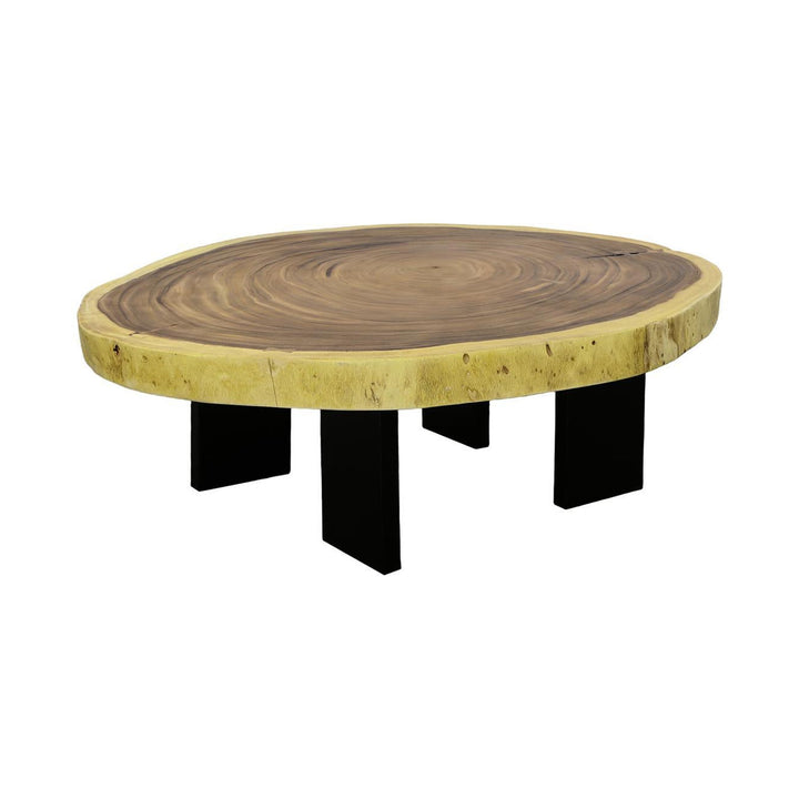 Floating Coffee Table With Black Legs, Natural, Size Varies by Phillips Collection — centered product view