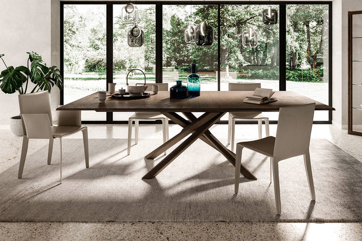 Frisbee Dining Chair